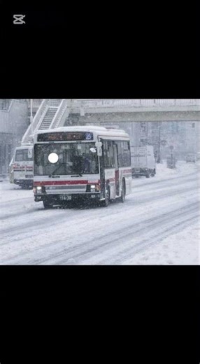 北海道でよく見かける標識 矢羽根とは！？#北海道