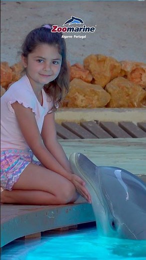 #3 🐬 Dolphin Awareness Month | Protege espécies ameaçadas como a Vaquita