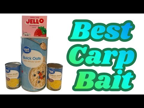 Make The Best Carp Bait At Home Today