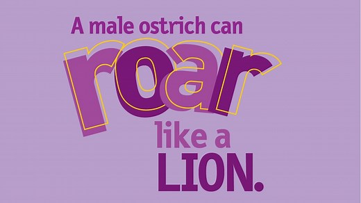 Weird But True!: Really Random