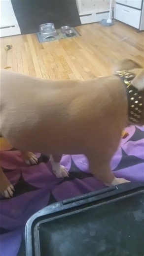 Matthew Sye on Reels