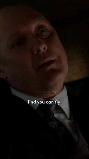 Flying vs Falling: A Dreamer's Perspective