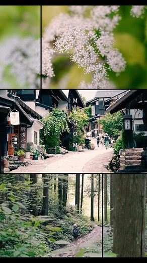 MAIBARU / まいばる on Instagram: "YouTube ▸▸▸ Maibaru Travel #maibaru #sonya7siii"