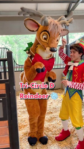Tri-Circle D Reindeer: A Disney Holiday Magic