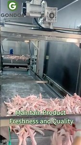 ❄️🥩Professional Industrial Food Thawing and Defrosting Machine for Frozen Seafood and Meat#defrost
