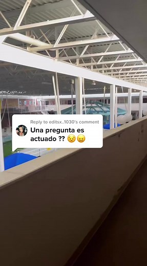 Exploring Scouts Guide to the Zombie Apocalypse