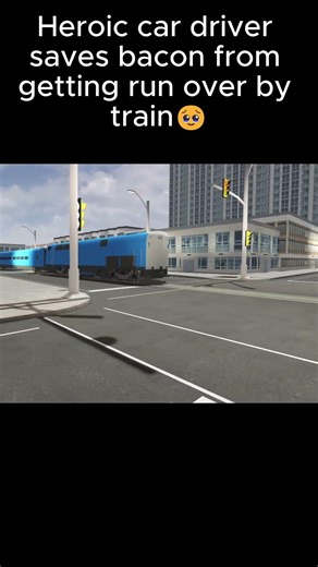 Heroic car driver saves bacon from getting run over by train