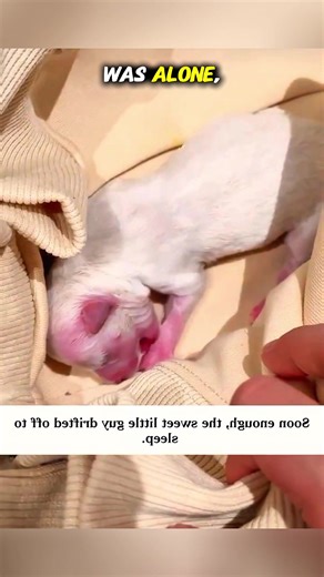 Rescuing a Tiny Animal by the Wastewater Pond