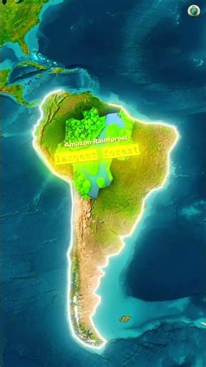 बारिश को जमीन पर आने में 10 M 😨 Welcome To Amazon Rainforest 🌍 #shorts #amazon #history