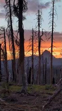 Pacific Crest Trail 2024 - Day 95 #pacificcresttrail #thruhike #hiking #adventure