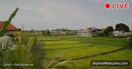 【LIVE】 Kamera na żywo Ubud - Indonezja | SkylineWebcams