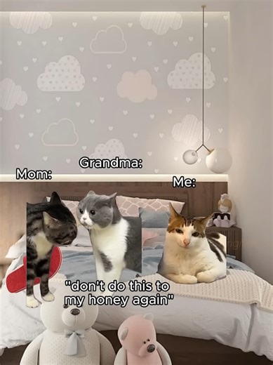 Share with your cousins and friends do not forget to drop the comments below ⬇️😂😂🎤 #petsontiktok #funnykids #memes😂 #memesvideos #petmemes