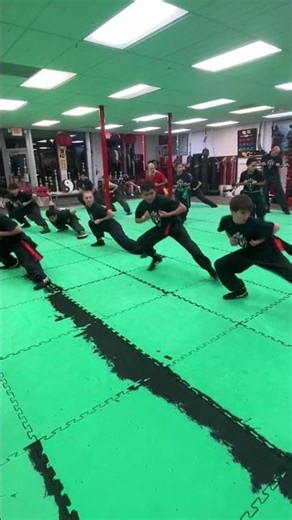 IRON LEG DRILLS #kungfu #shaolinkungfu #ironpalm