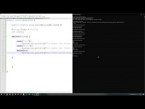 Programmieren in Java 1: Video 19.2 | switch-case