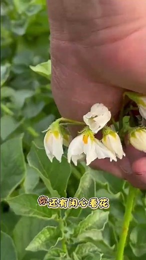 Unlock the Secrets of Farming: 5 Must-Know Agri-Tips