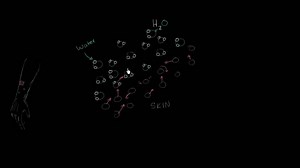 LeBron Asks: Why does sweating cool you down?