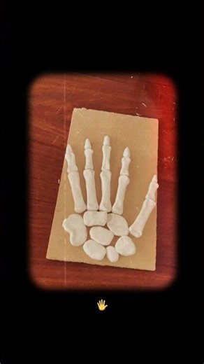Hand skeleton with modeling clay #art #stillife #