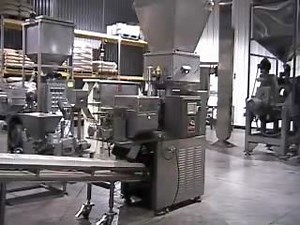 Standard Direct Expansion Snacks | Extruded Snack Food Categories | American Extrusion International