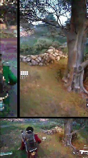 Cómo Conseguir Aceitunas – Guía de Loot Natural y Mejora Scrappy ARC Raiders