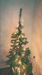 Mini Christmas tree light up