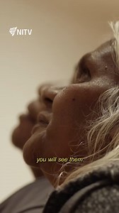 Emily Kam Kngwarray was a First Nations trailblazer who painted over 3,000 canvases in just eight years - not for fame, but to protect her Country 🖌️ This is her story. Emily I Am Kam | Watch now on SBS On Demand as part of our NAIDOC Week Collection | SBS On Demand