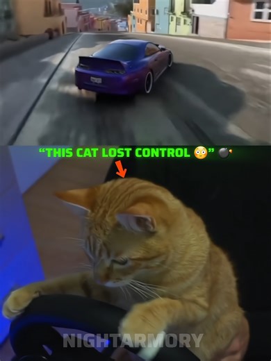 “THIS CAT LOST CONTROL 😳” 💣