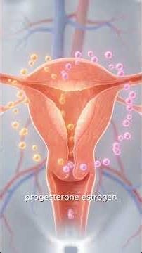 ✨ Frozen Embryo Transfer (FET) — A Journey of Hope 💛