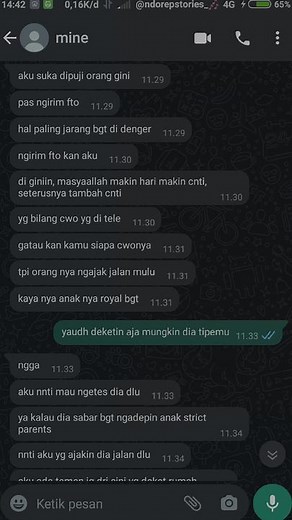 Exploring Indonesian Messaging Conversations