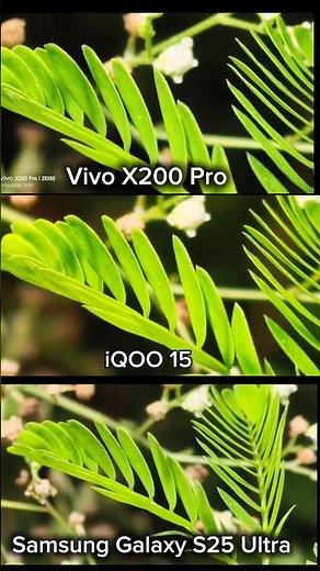 IQOO 15 vs Vivo X200 Pro Vs Samsung galaxy s25 ultra Photography Test Camera Testing Review Zoom