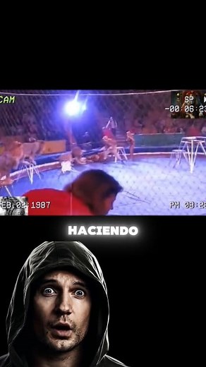 63K views · 1.1K reactions | Cómo se puede defender alguien del ataque de un león? hay manera? 樂 #animalessalvajes #IA #leon #ataque | Vídeos Virales | Facebook