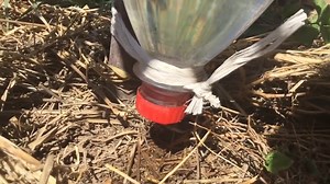Como hacer riego por goteo con botellas de plastico🪴🥕🌿🥦🥬💧 | MANOS DE TIERRA