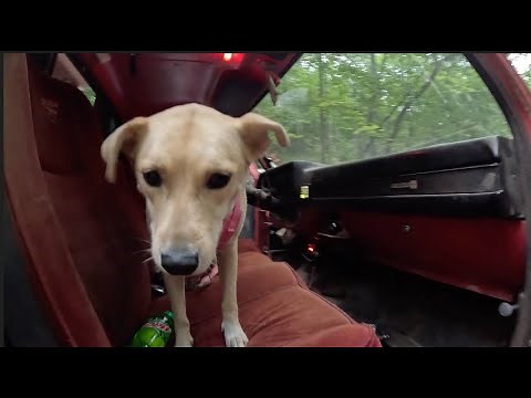 Long day of Off Road Recovery