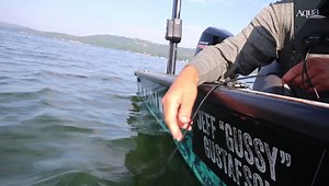 5.5K views · 152 reactions | How many of you are using an Aqua-Vu underwater camera?!?! If you’re not using one, you’re missing out!!! Mandatory equipment in my boat...and they are fun! I have an HD7i Pro unit mounted at the console on my Lund with a T-H Marine Supplies Mini-Kong mount. | Jeff Gustafson | Facebook