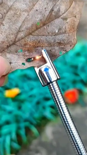 How can a plasma electric lighter burn?