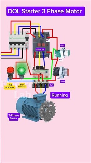 DOL Starter Of 3 Phase Motor | Using Contactor+Overload Relay+Indicator #shorts #tech #motor