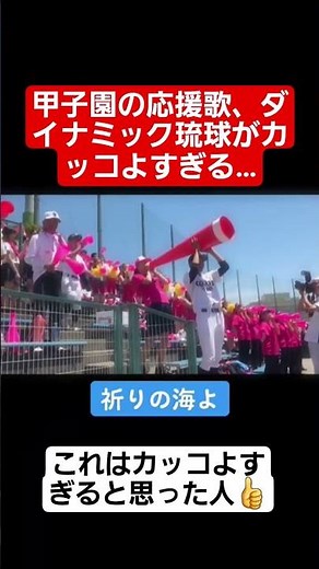 【甲子園】甲子園の応援歌、「ダイナミック琉球」がカッコよすぎる…#shorts#tiktok#おすすめ#甲子園#高校野球#感動