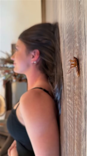 Hannah Barron on Instagram: "Just chillin"