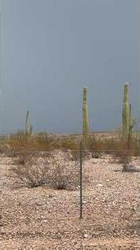 Monsoon rain coming to Florence AZ