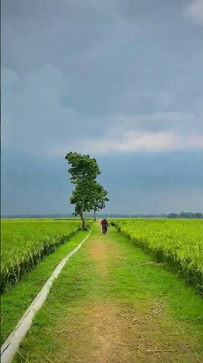 Real 4K HDR Nature in Dolby Vision | Cinematic Relaxing Video | 60fps Ultra HD Demo