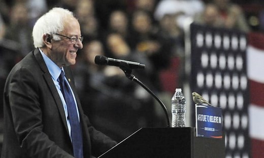 Moment bird interrupts Bernie Sanders’ Oregon rally – video