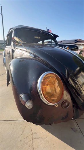 Survivor 57 400$ oval window bug hits the streets