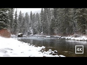 4K Snowy Winter River | Heavy Snow & Nature Sounds for Sleep & Study | Nature Scene for Relaxing