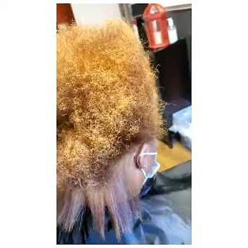 Design Essentials STS System