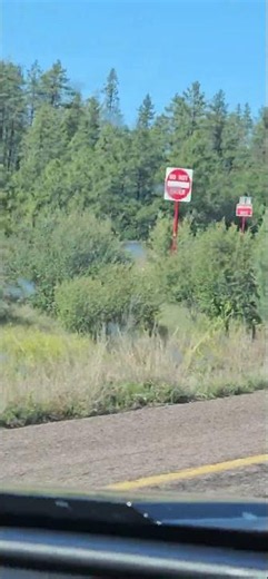 What is the elevation in Payson, Arizona? | Jolly Hikers Road Trips |Driving in Payson|Pink T-shirts