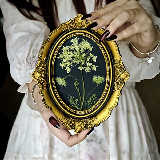 Queen Annes Lace in Vintage-style Frame – Pressed Flower Art With Real Pressed Flowers - Etsy