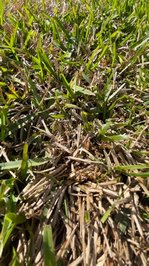 Make a SPLASH with Integrity Poolscapes!🌊💦 Don't you think it's time to transform your backyard into your own gorgeous oasis?!🤔 At Integrity Poolscapes, we specialize in: 🌊Custom swimming pools & spas 😎Covered patios ☀️Pergolas 🥩Outdoor kitchens 🔥Water & fire features ➡️And so much more! ✨So... stop dreaming and start planning!✨ 📲Contact us today for a your FREE design consultation! 📍And remember we serve Fort Bend and surrounding counties including parts of Cypress, Rosharon, Manvel, a