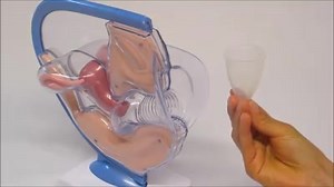 486K views · 10K reactions | Como utilizar o coletor menstrual...