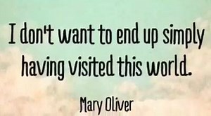 Kreed is still in pain and still has respiratory issues- in fact he may be in respiratory acidosis AGAIN. This morning we talked and decided that if Kreed was going to rage in pain or continue to have respiratory issues, we would at least have as much fun and joy as possible whenever he can. During the active part of this video, Kreed's respiratory alarm is going off the whole time ha, but he enjoyed himself so much and it was the highlight of his day. So really and truly, we strive to give him 