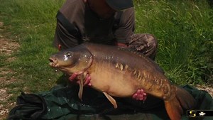 3.1K views · 159 reactions | ◼️ NEW VIDEO ◼️ The new Day Ticket Travels is set to hit the CarpSpirit UK YouTube channel next week! This time Rob and Ian enjoy lots of laughs as they travel to Linear Fisheries Official to see if they can bag a couple of day-ticket lumps... #DTT #dynamitebaits | Dynamite Baits | Facebook