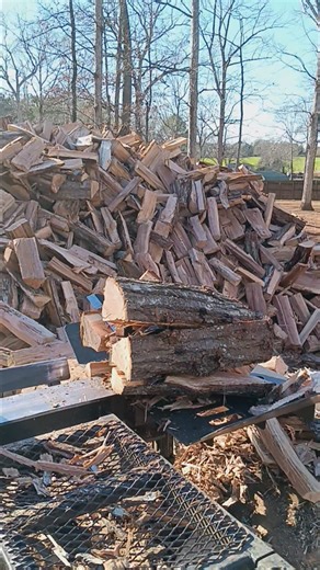 Mike Rogers on Reels